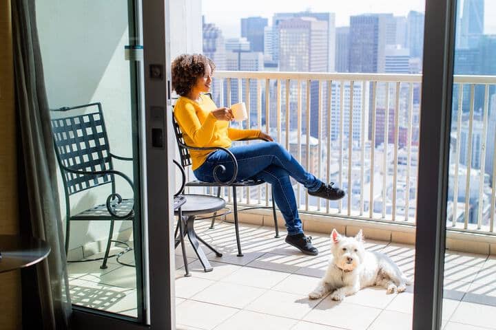 Pet Friendly 163 of 266